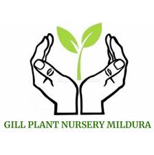 Gill Plant Nursery Mildura